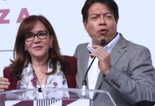 Delgado niega a Polevnsky aspiraciones a la presidencia