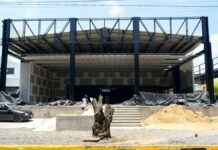 Investigarán la tala de seis árboles sobre el Bulevar Hermanos Serdán