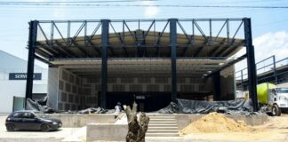 Investigarán la tala de seis árboles sobre el Bulevar Hermanos Serdán