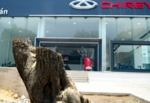 Marchan contra tala de árboles en Puebla capital