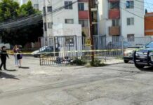 Hallan a feto humano entre basura de colonia Bugambilias