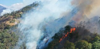 Hay 116 incendios forestales activos en México