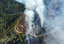 Sofocan incendio forestal en Zacatlán; dejó 750 hectáreas afectadas