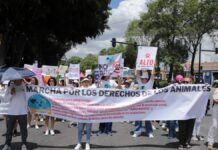 Protestan en Puebla capital contra maltrato animal