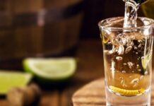 Gobierno de Puebla busca producir 33.5 millones de plantas de mezcal