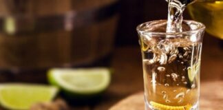 Gobierno de Puebla busca producir 33.5 millones de plantas de mezcal