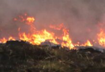 Incendio consume mil 350 hectáreas en Santa Catarina, Nuevo León Incendio