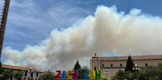 Incendio forestal en Zacatlán es atendido por 250 brigadistas Incendio