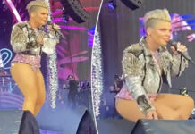 ¡Insólito! Fan avienta cenizas de su madre al rostro de Pink Pink