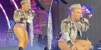 ¡Insólito! Fan avienta cenizas de su madre al rostro de Pink Pink