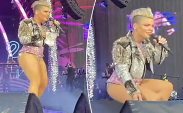 ¡Insólito! Fan avienta cenizas de su madre al rostro de Pink Pink