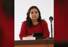 Reforestación estatal llega a Tlachichuca, Tianguismanalco y Zacatlán Reforestación
