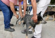SMDIF lleva servicios a Inspectoría Rosario La Huerta SMDIF