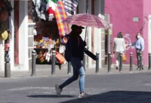 Temperaturas superarán 40 °C en 24 estados del país Temperaturas