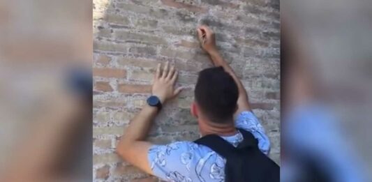 Turista