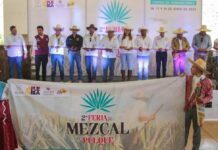 Inicia segunda Feria del Mezcal y el Pulque en Atlixco