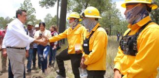 Inicia en Tlachichuca Programa de Reforestación con 74 mil árboles árboles