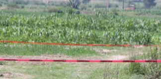 Hallan cadáver de mujer con heridas de machete en Cuetzalan mujer