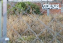 Avalan multas de 31 mil a quien no limpie su terreno en Puebla multas
