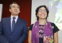 Promoción anticipada, en manos del TEPJF: Consejeros INE partidos