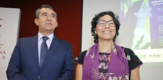 Promoción anticipada, en manos del TEPJF: Consejeros INE partidos