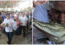 Oaxaca: Alcalde se casa con caimán por rito de prosperidad Alcalde
