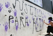 Causa de muerte de Aline, aún sin identificar: Fiscal