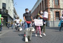 “Familias Multiespecie” para proteger animales en Puebla, proponen