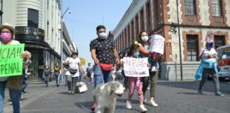 “Familias Multiespecie” para proteger animales en Puebla, proponen