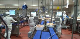 Crece 4.1% actividad industrial en Puebla, el mejor registro en cinco años