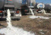 Estados Unidos está tirando miles de galones de leche por esta razón
