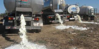 Estados Unidos está tirando miles de galones de leche por esta razón