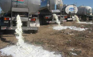Estados Unidos está tirando miles de galones de leche por esta razón