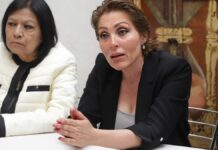 “Ley Alcántara”, para blindar a violentadores, acusa Érika de la Vega