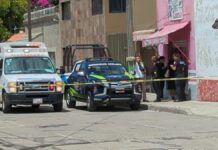 Hallan cadáver estrangulado de mujer en colonia Cleotilde Torres