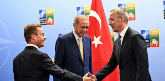 Turquía remueve veto y ratificará ingreso de Suecia a la OTAN