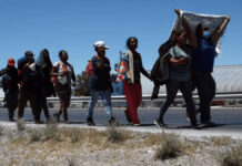 Interpol y ONU lanzan Proyecto Turquesa contra tráfico de migrantes