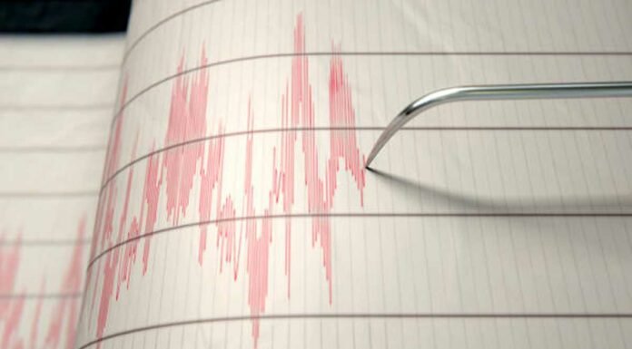 Sismo con epicentro en Moyotzingo sacude municipios poblanos Sismo