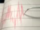 Sismo con epicentro en Moyotzingo sacude municipios poblanos Sismo