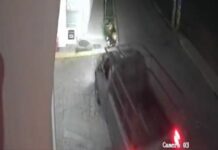 Denuncian a vecino por atropellar a perritos en Cuautlancingo