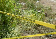 Hallan restos humanos en San Jerónimo Caleras cráneo