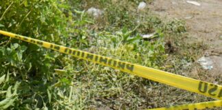 Hallan restos humanos en San Jerónimo Caleras cráneo