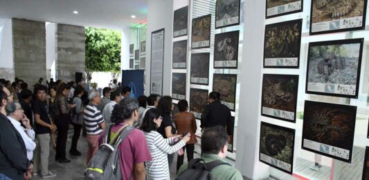 exposición