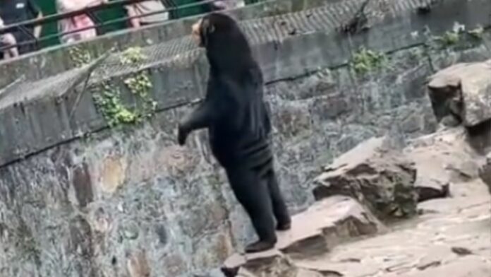 zoológico