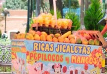 Ambulantes, sin permisos en Congreso ni central camionera: Ayuntamiento Ambulantes