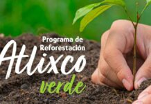 Plantarán más de 800 árboles con “Atlixco Verde” Atlixco