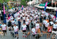 Carrera “Contigo y tus Perritos” reúne a casi 500 lomitos en Puebla capital Carrera