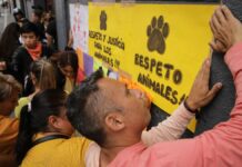 Gobierno de Puebla presentará diagnóstico sobre maltrato animal