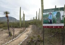 Puebla buscará permisos para intervenir reserva de Tehuacán