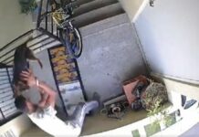 Hombre golpea y lanza a perrito de edificio en Huejotzingo